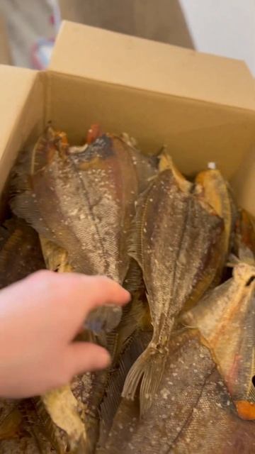 Мурманский Ерш🔥🔥🔥 #азбукасевера