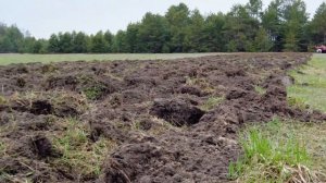 Борона БПМ-5 «ЗУБР» в работе 🔥🔥🔥