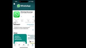 Исправить проблему со звуком статуса WhatsApp на iPhone (2024) | Проблема со звуком статуса WhatsAp