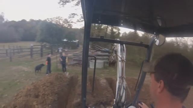 Bobcat 311D