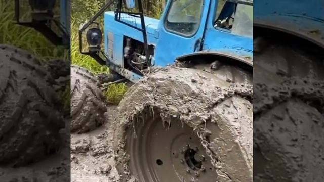Любой тракторист должен хоть раз застрять в грязи 😁 #shorts #buldozer #tehnics #tehnica_01 смотреть онлайн