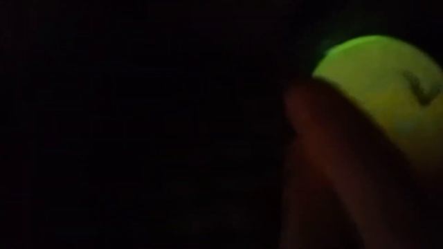 овоскопирование яиц