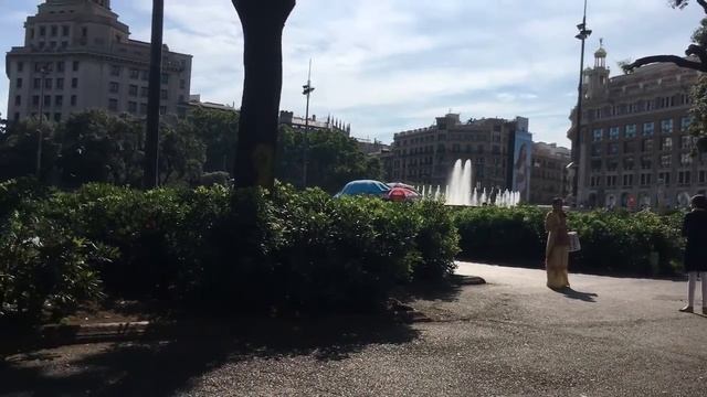 Попугаи В Испании смотреть онлайн