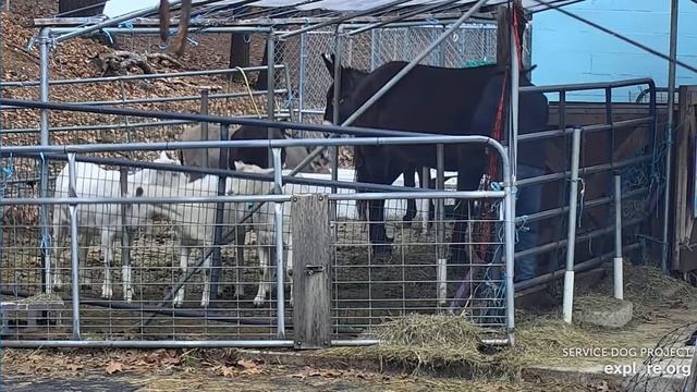 CAfe Le Donk after 8am Cowboy Matt care 12152021 смотреть онлайн