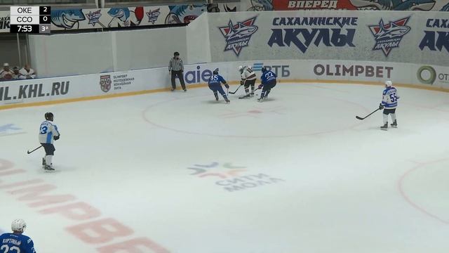 Видеоповтор хоккейного матча (3 период) 