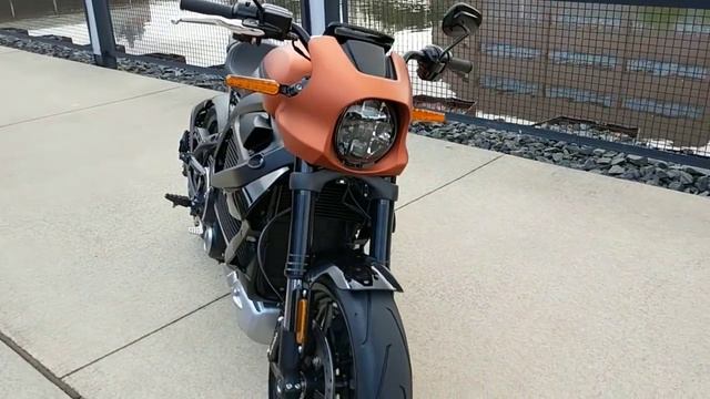 2020 Harley-Davidson LiveWire: First Look at the Electric Power Cruiser смотреть онлайн