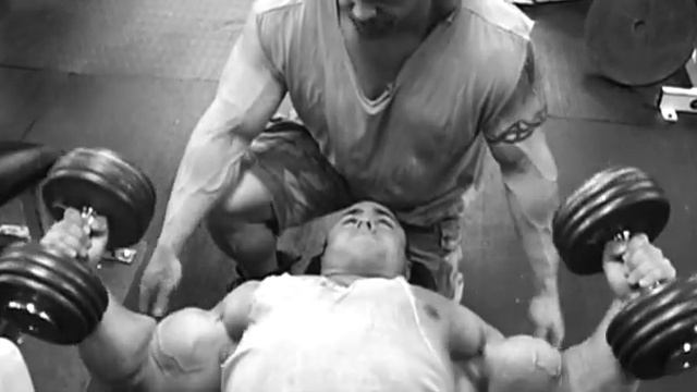 Тренировка грудных мышц от Animal Pak. Часть II. смотреть онлайн