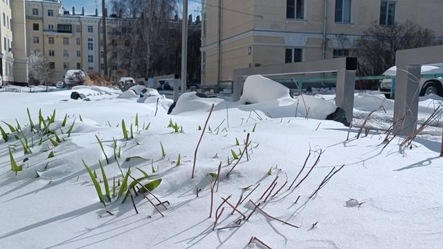 Зима вернулась в Новосибирск 19.04.25 г.