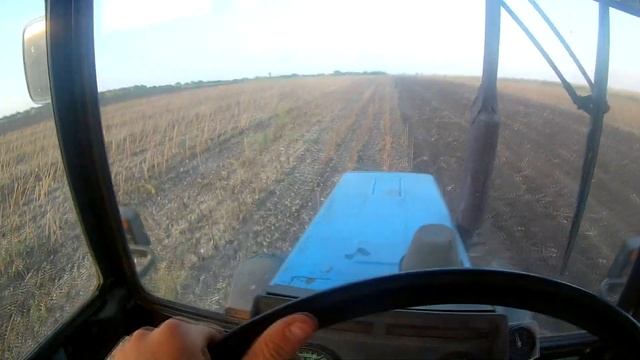 Трактор МТЗ 892 в работе с бороной дисковой АГ-2,4 Дисковка палки подсолнечника