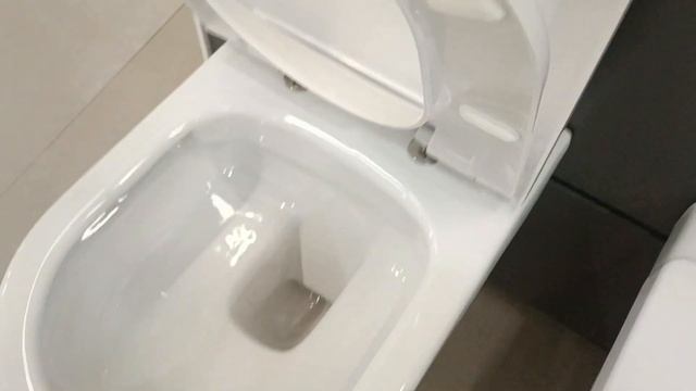 Villeroy Boch 5684HR01 OMNIA ARCHITECTURA Унітаз підвісний DirectFlush + 98M9C101 Кришка смотреть онлайн