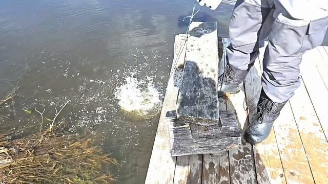 Рыбалка на форель в Сафари-парке смотреть онлайн