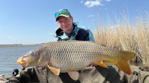 Рыбалка на сазана весной 2025 рыба тут крупная