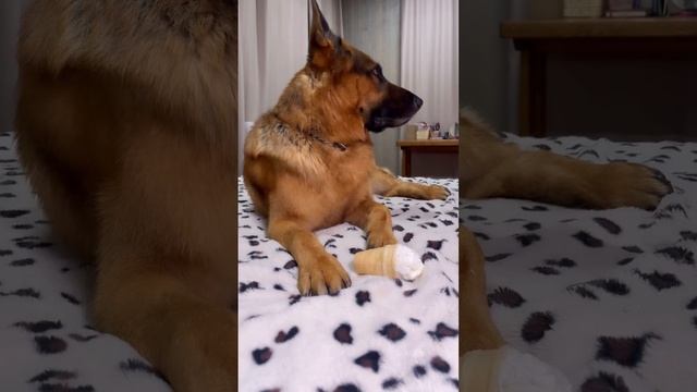 Просто мой умничка ❤️😍