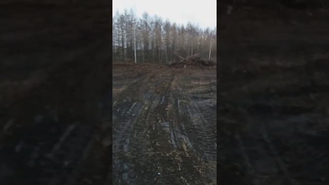 Уборка участка смотреть онлайн