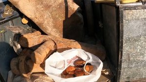 Куча толстого чермета.Собираем первые грибы.Металлокоп.