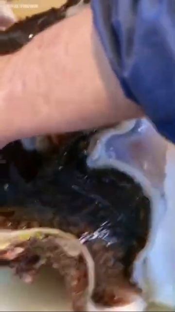 Japanise food -GIANT CLAM SASHIMI #short смотреть онлайн