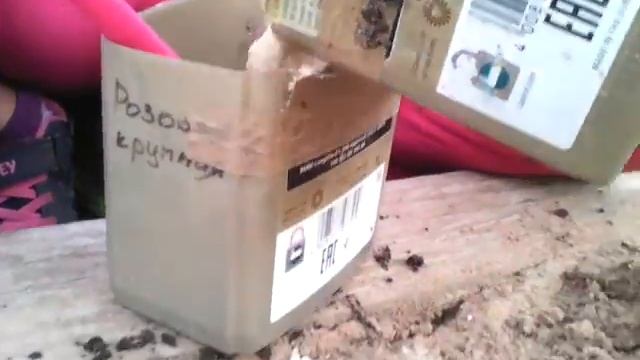 Как сажать свеклу смотреть онлайн