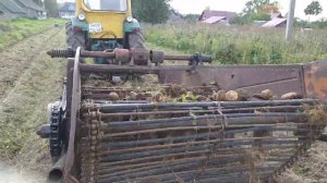 трактор ЮМЗ 6 и копалка КСТ 1,4///коп картофеля 2021