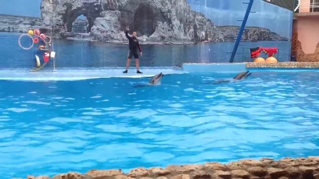 2015 Крым Оленевка Дельфинарий смотреть онлайн