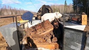 Куча топовых находок в старых делянках.Металло коп на каракате.