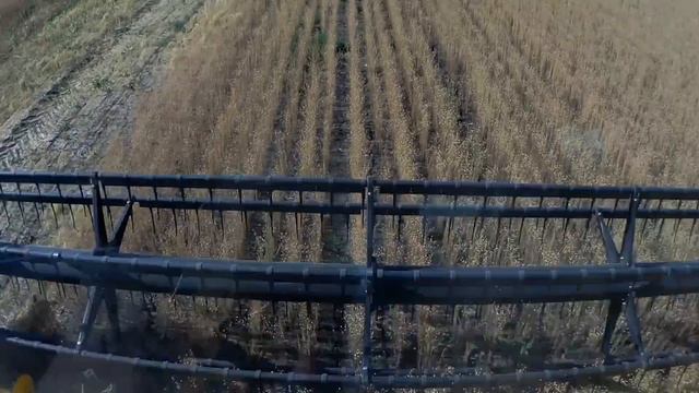 Уборка льна 2019 смотреть онлайн