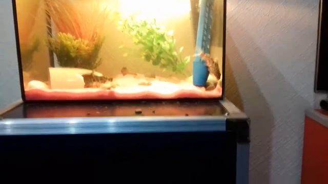 Ответы на вопросы. смотреть онлайн