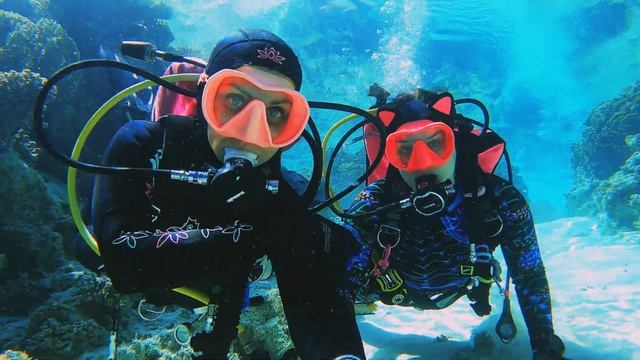 Girls Dive. Девочки ныряют в  Шарм Эль Шейхе.