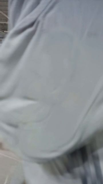 #собака #хоккей смотреть онлайн