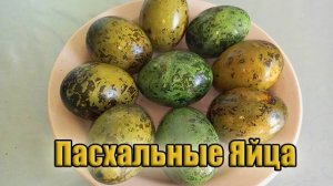 Красим пасхальные яйца натуральными красителями! Каркаде + Куркума! Эффект поразительный!