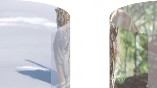 ,,Дикие животные,,