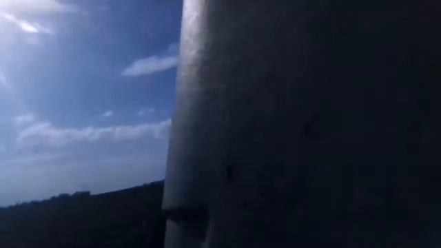 дискуем на Т-150к с подшипникмаш, валим семечку ходим по следу,дискатор бдм 3×4🌾 смотреть онлайн