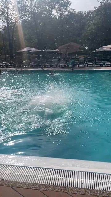 На отдыхе-Волгоград. смотреть онлайн