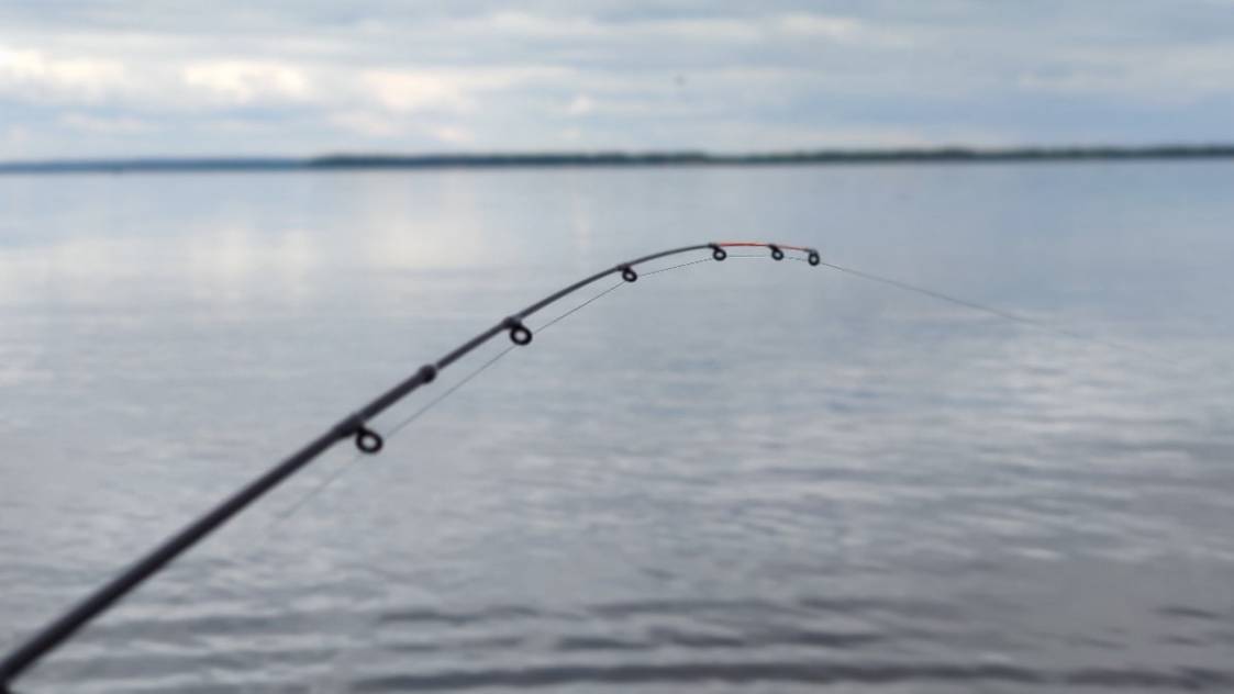 Вот это открытие сезона! Наловил два ведра! первая рыбалка на фидер в апреле с ночевкой