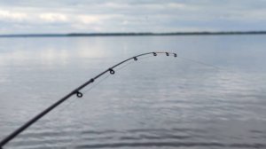 Вот это открытие сезона! Наловил два ведра! первая рыбалка на фидер в апреле с ночевкой