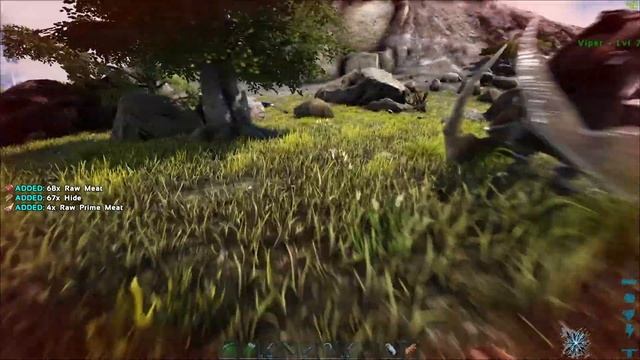 ARK Survival Evolved: Quick argentavis tame смотреть онлайн