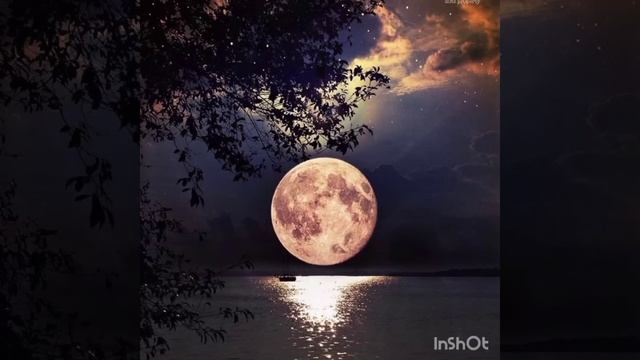 Sardor Rahimhon Ishonmasman🖤🤍❤️