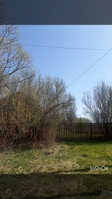 Первая зелень, весна.mp4 смотреть онлайн