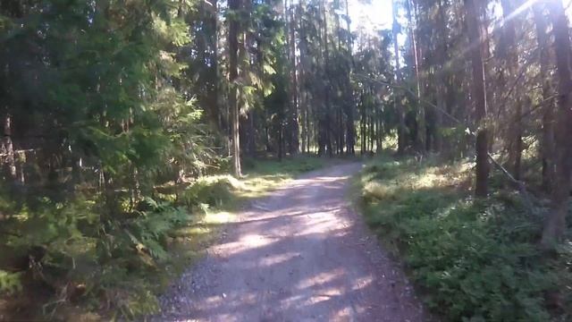 Un Dumper Aures G400 Trouvé Dans Une Ile De Pertti Saari En Finlande ❤❤❤❤