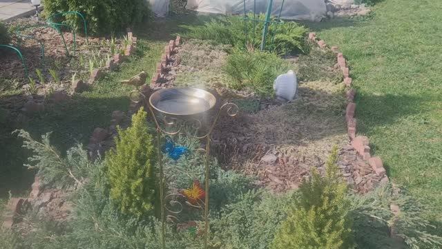 ДАЧА!🏡 ПОГОДА КАК НА ЮГЕ +25 ЛЕНИНГРАДСКАЯ ОБЛАСТЬ 19.04.25г.🌞 смотреть онлайн