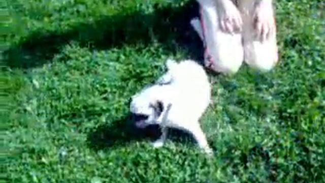 sperm of mankind смотреть онлайн