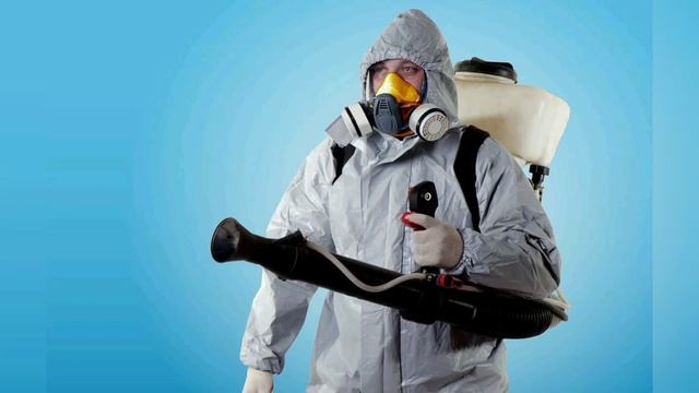 Предлагаем услуги дератизации, демеркуризации, дезинфекции и дезинсекции в городе Архангельск. смотреть онлайн