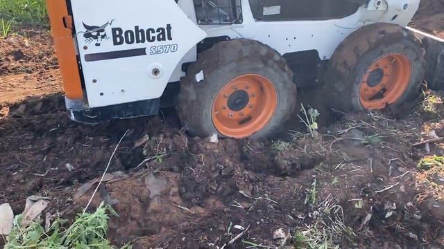 Bobcat S570