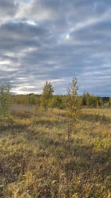 Экотропа Раковые озёра, Ленинградская область смотреть онлайн