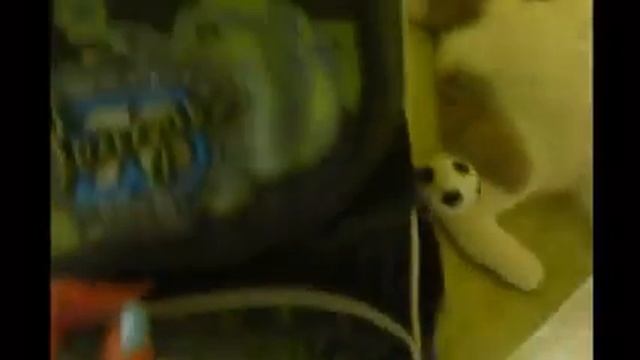 Рюкзак для роднули! Компания SBC. Бизнес с Верой Алалыкиной смотреть онлайн