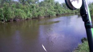 Ловля ельца в проводку.