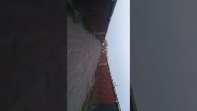 Alphard Machete mm60 смотреть онлайн