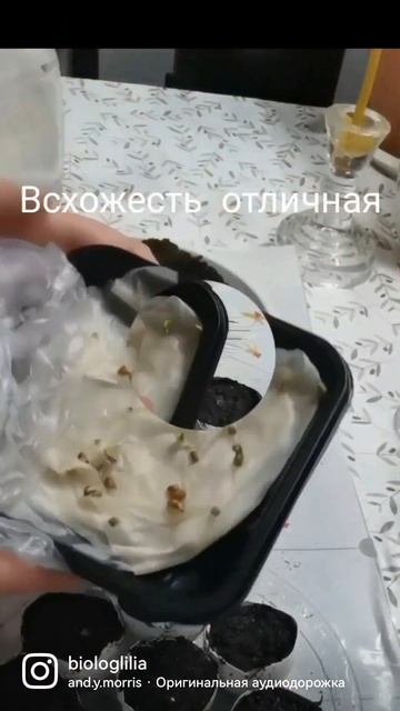 #shorts смотреть онлайн
