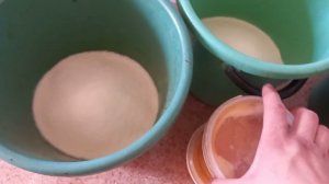 Приготовление медовой сыты. Краткий обзор природы. 16 апреля.