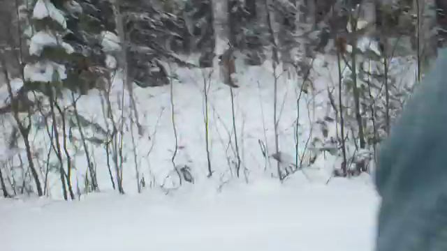 SDC10824.AVI смотреть онлайн