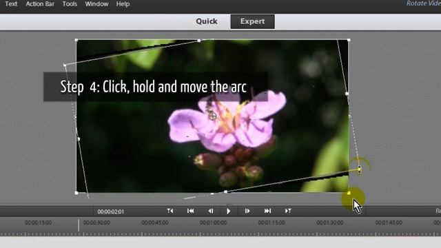 Rotating a Video | Adobe Premiere Elements Training #1 | VIDEOLANE.COM смотреть онлайн